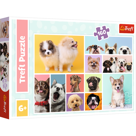 PUZZLE 160 Psia przyjaźń PIESKI