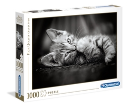 Puzzle 1000 KOCIAK KOTEK