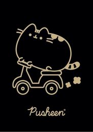 Zeszyt 60 kartek kratka PUSHEEN