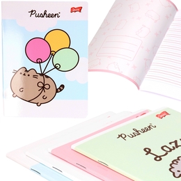 Zeszyt 32 kartki linia dwukolorowa PUSHEEN